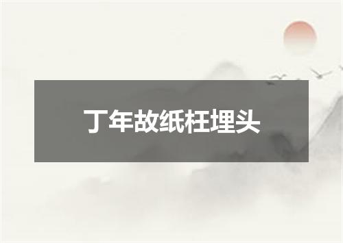 丁年故纸枉埋头