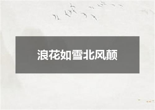 浪花如雪北风颠
