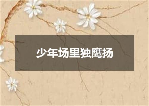 少年场里独鹰扬