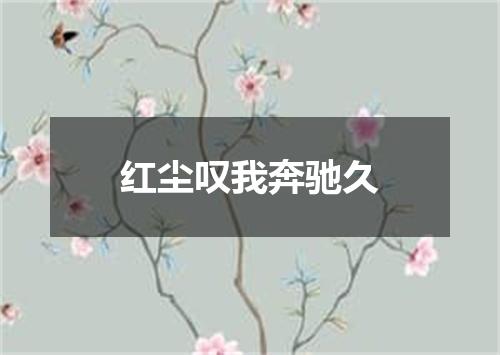 红尘叹我奔驰久