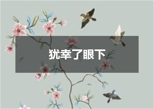 犹幸了眼下