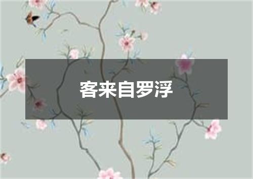 客来自罗浮