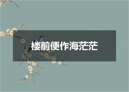 楼前便作海茫茫