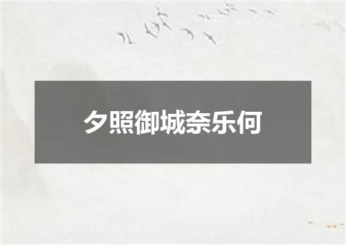 夕照御城奈乐何