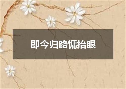 即今归路慵抬眼