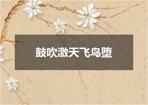 鼓吹激天飞鸟堕