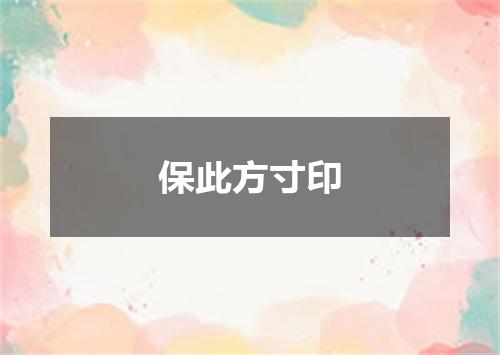 保此方寸印