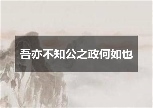 吾亦不知公之政何如也