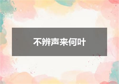 不辨声来何叶