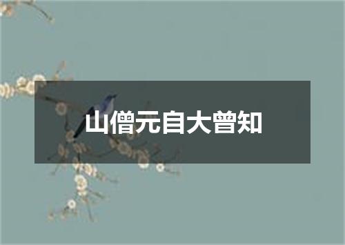 山僧元自大曾知