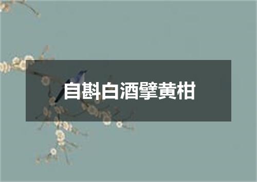 自斟白酒擘黄柑
