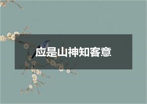 应是山神知客意