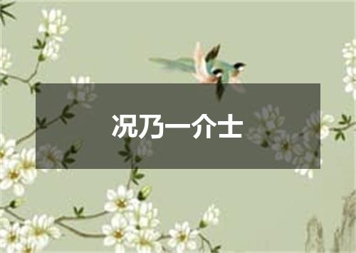 况乃一介士
