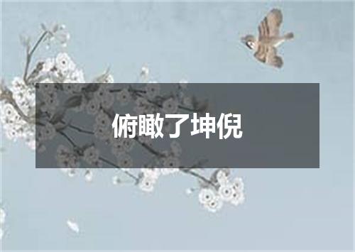 俯瞰了坤倪