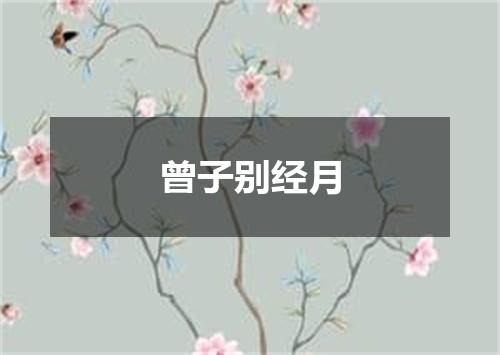 曾子别经月