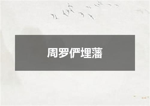 周罗俨埋藩