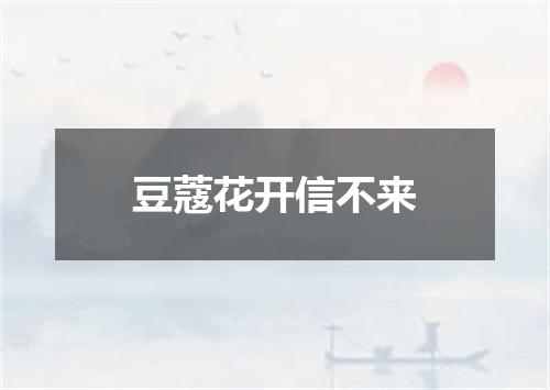 豆蔻花开信不来