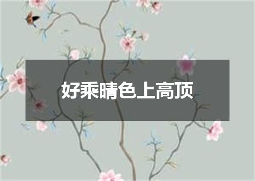 好乘晴色上高顶
