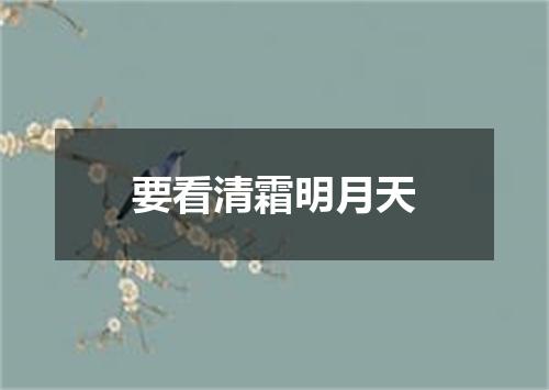 要看清霜明月天