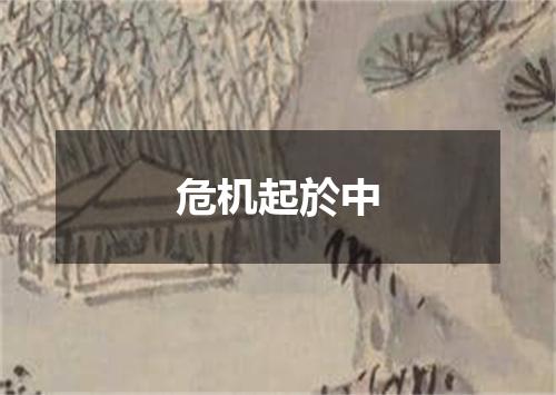 危机起於中