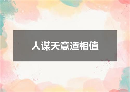 人谋天意适相值