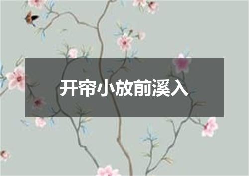开帘小放前溪入