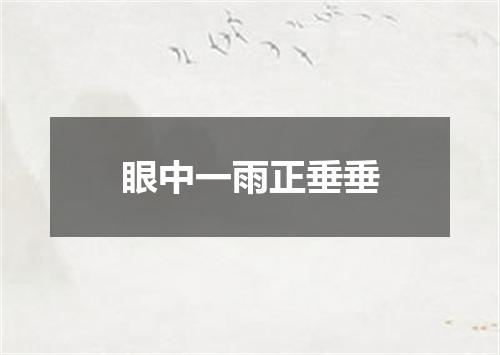 眼中一雨正垂垂