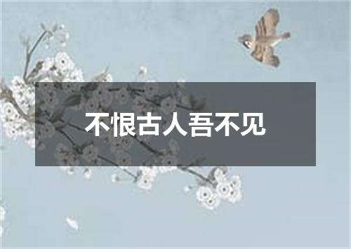 不恨古人吾不见