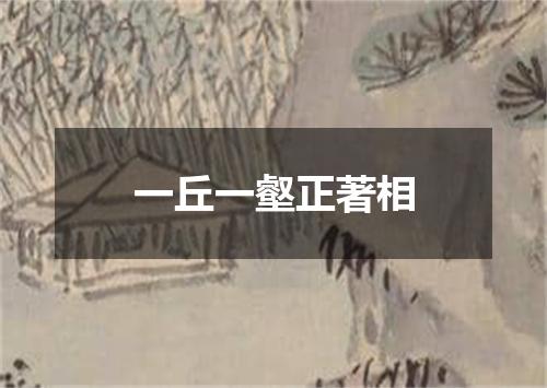 一丘一壑正著相