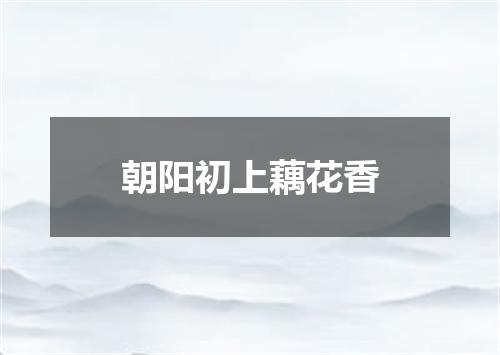 朝阳初上藕花香