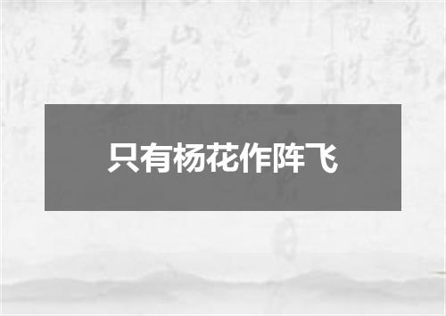 只有杨花作阵飞