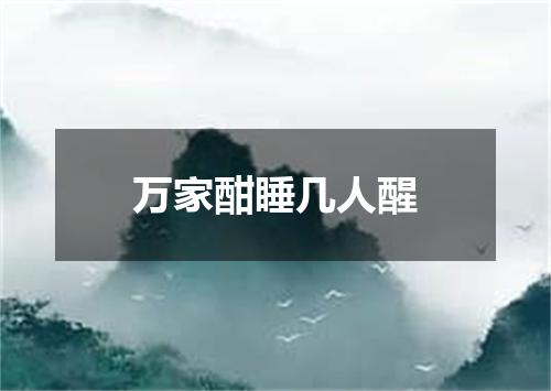 万家酣睡几人醒
