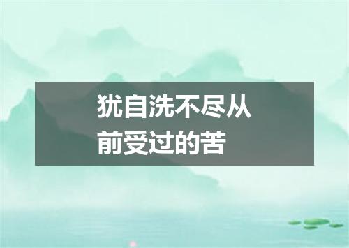 犹自洗不尽从前受过的苦