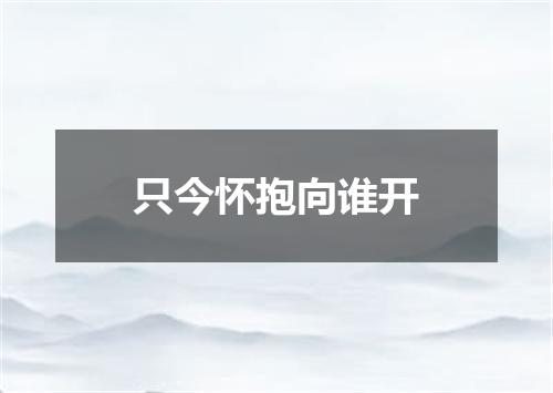 只今怀抱向谁开