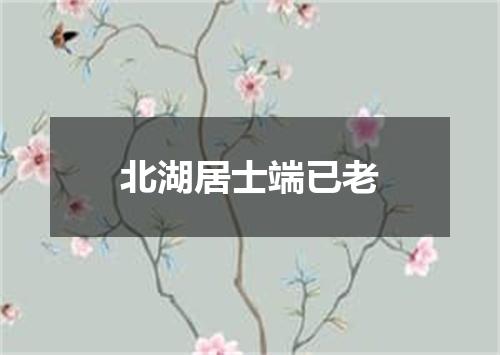 北湖居士端已老