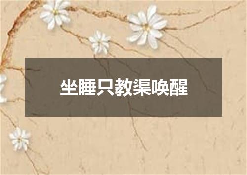 坐睡只教渠唤醒
