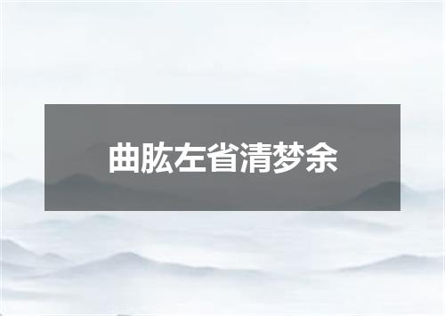 曲肱左省清梦余
