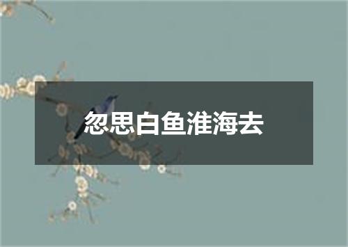 忽思白鱼淮海去