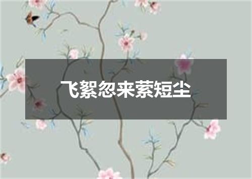 飞絮忽来萦短尘