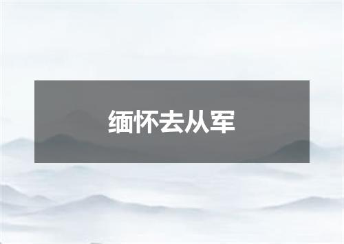 缅怀去从军