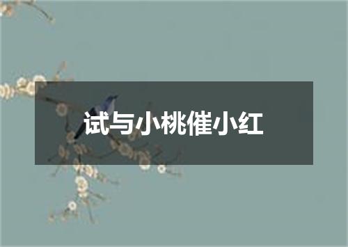 试与小桃催小红