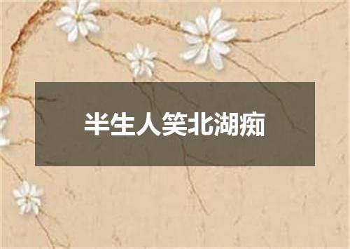 半生人笑北湖痴