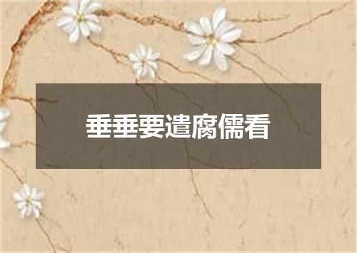 垂垂要遣腐儒看