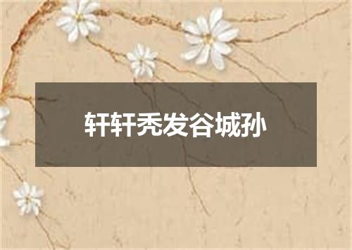 轩轩秃发谷城孙