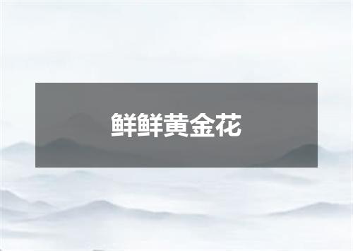 鲜鲜黄金花
