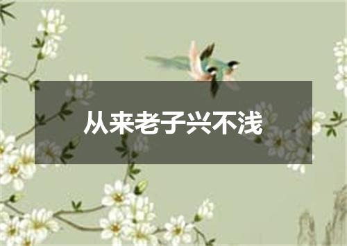从来老子兴不浅
