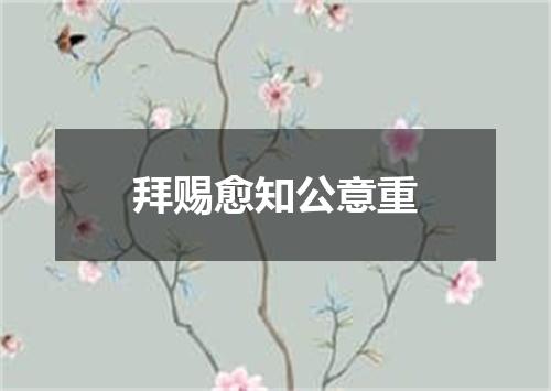 拜赐愈知公意重