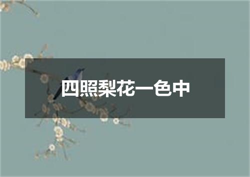 四照梨花一色中