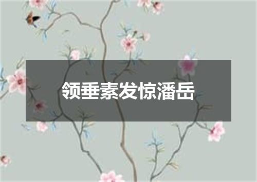 领垂素发惊潘岳