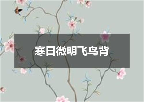 寒日微明飞鸟背